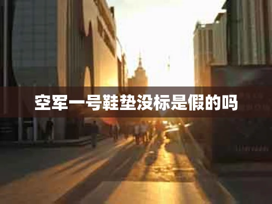 空军一号鞋垫没标是假的吗