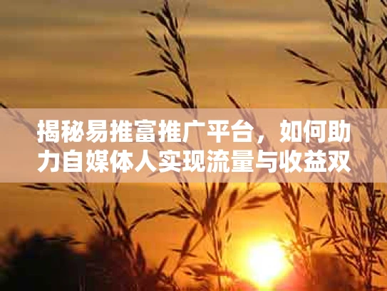 揭秘易推富推广平台，如何助力自媒体人实现流量与收益双增长？