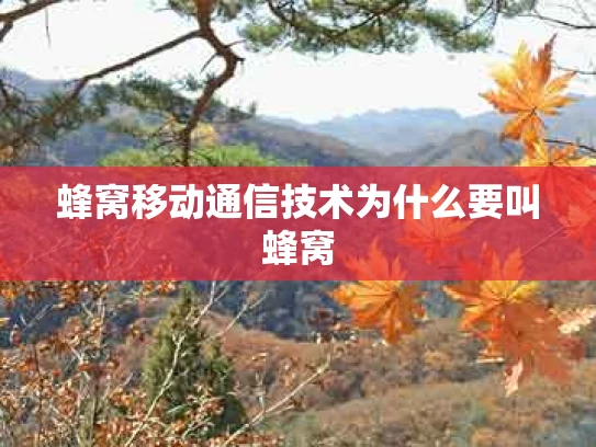 蜂窝移动通信技术为什么要叫蜂窝
