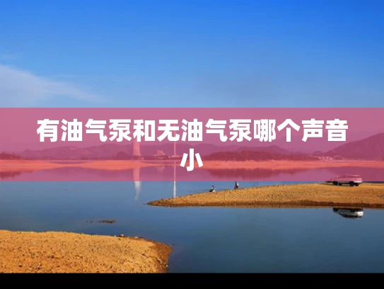 有油气泵和无油气泵哪个声音小