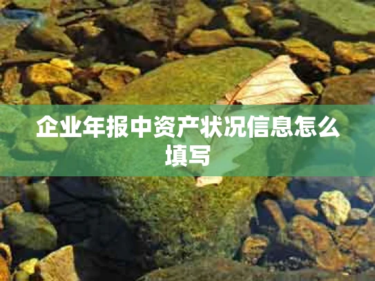 企业年报中资产状况信息怎么填写