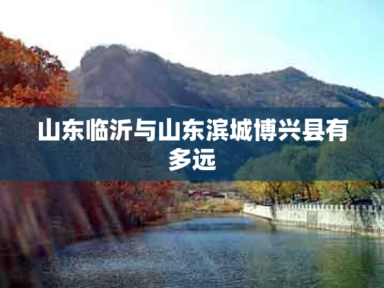 山东临沂与山东滨城博兴县有多远