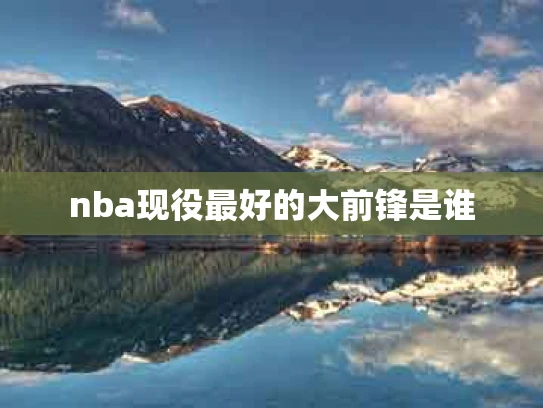 nba现役最好的大前锋是谁