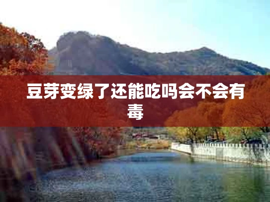 豆芽变绿了还能吃吗会不会有毒