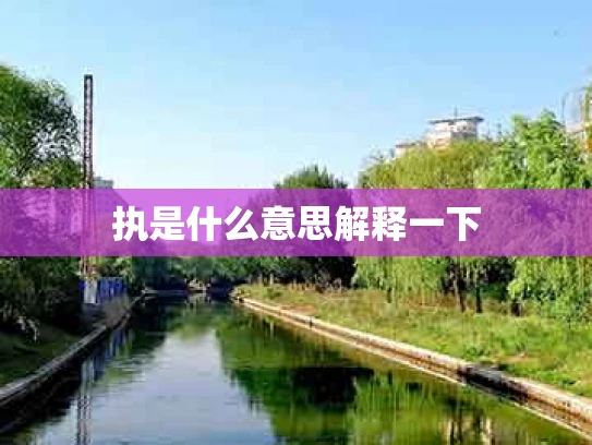 执是什么意思解释一下