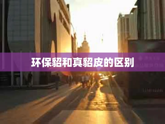 环保貂和真貂皮的区别