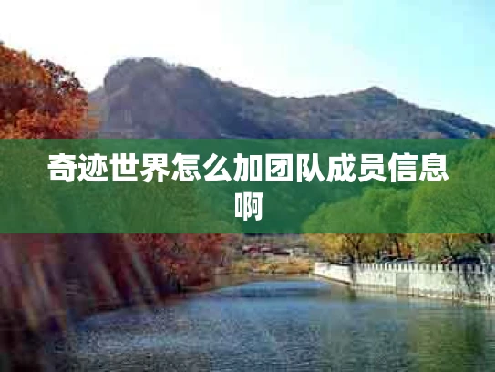 奇迹世界怎么加团队成员信息啊