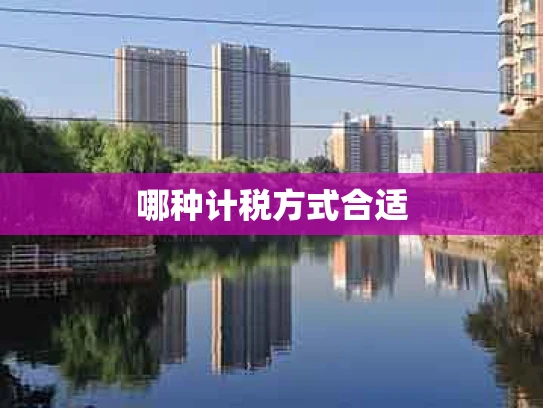 哪种计税方式合适