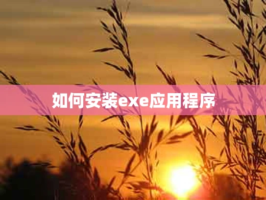 如何安装exe应用程序