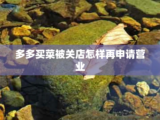 多多买菜被关店怎样再申请营业