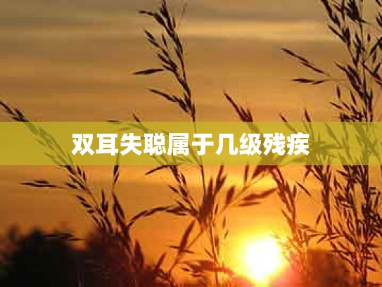 双耳失聪属于几级残疾