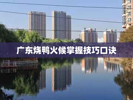 广东烧鸭火候掌握技巧口诀