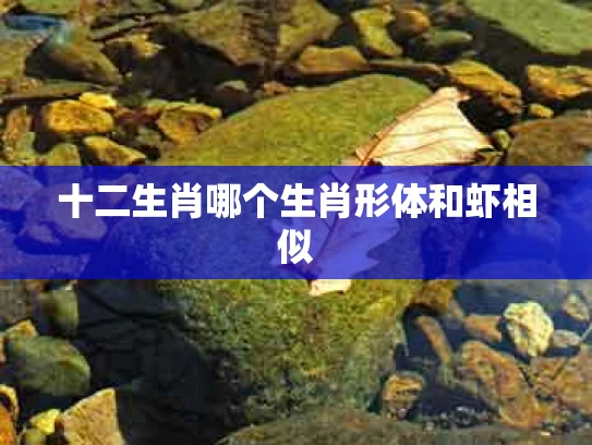 十二生肖哪个生肖形体和虾相似