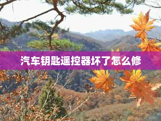 汽车钥匙遥控器坏了怎么修
