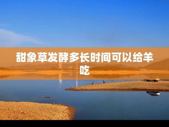 甜象草发酵多长时间可以给羊吃