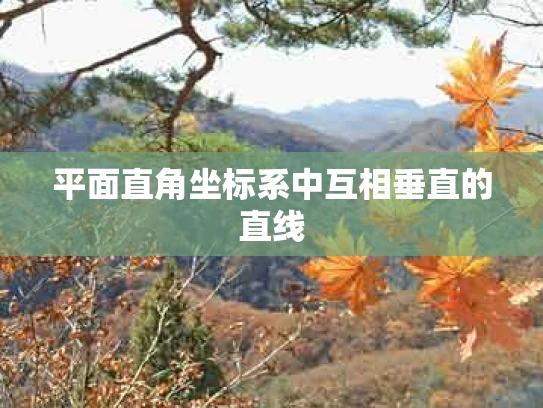 平面直角坐标系中互相垂直的直线