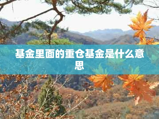 基金里面的重仓基金是什么意思