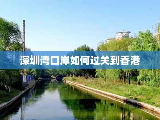 深圳湾口岸如何过关到香港