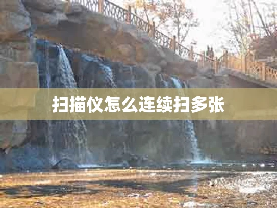 扫描仪怎么连续扫多张