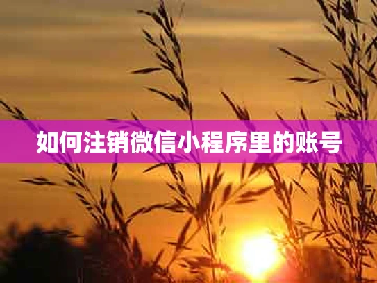 如何注销微信小程序里的账号
