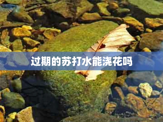 过期的苏打水能浇花吗