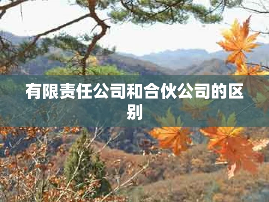 有限责任公司和合伙公司的区别