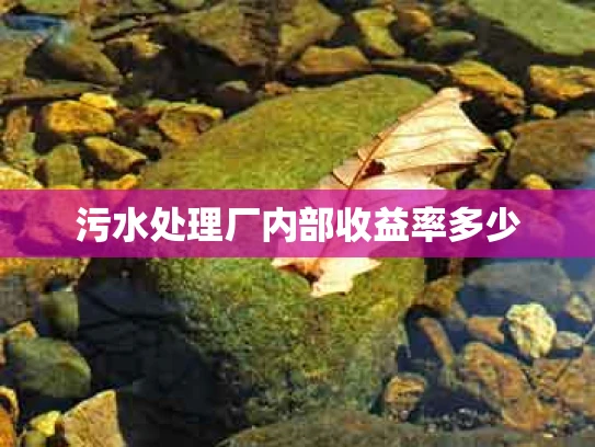 污水处理厂内部收益率多少
