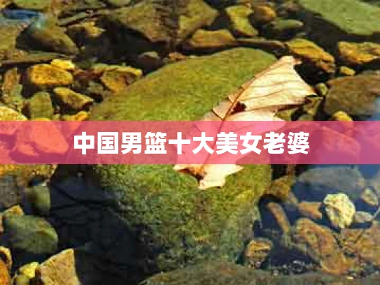 中国男篮十大美女老婆