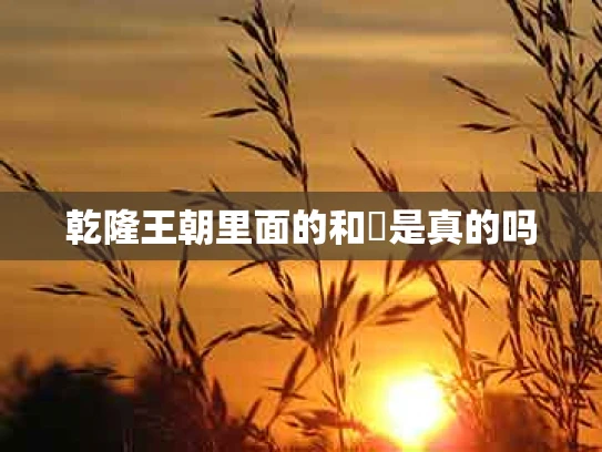 乾隆王朝里面的和珅是真的吗