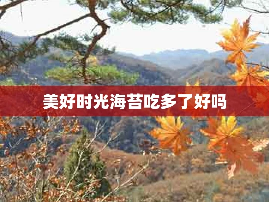 美好时光海苔吃多了好吗