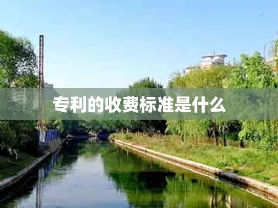 专利的收费标准是什么