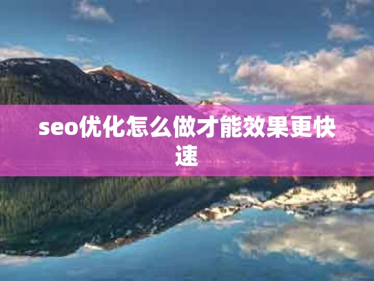 seo优化怎么做才能效果更快速