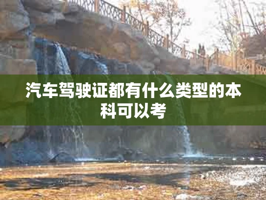 汽车驾驶证都有什么类型的本科可以考