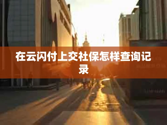 在云闪付上交社保怎样查询记录