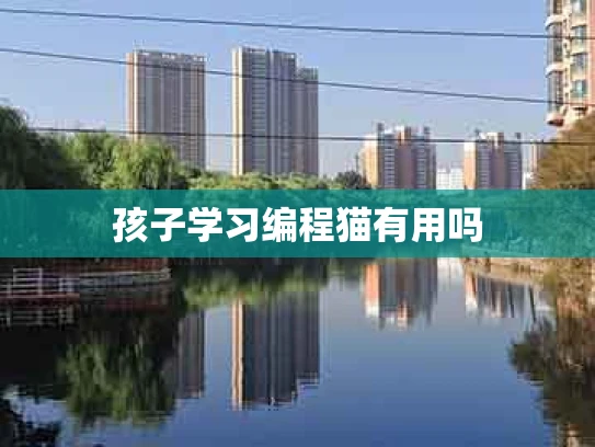孩子学习编程猫有用吗