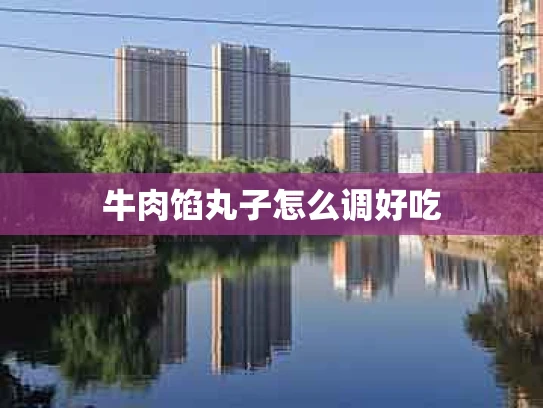 牛肉馅丸子怎么调好吃