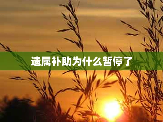 遗属补助为什么暂停了