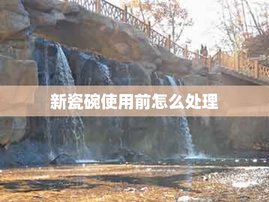 新瓷碗使用前怎么处理