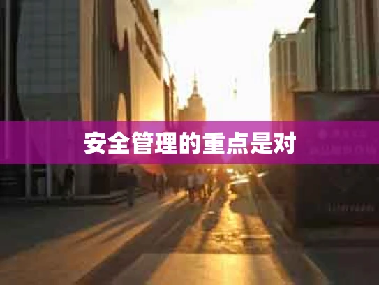 安全管理的重点是对