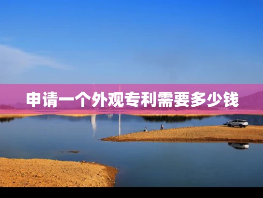 申请一个外观专利需要多少钱