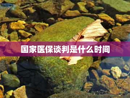 国家医保谈判是什么时间