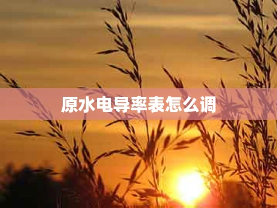 原水电导率表怎么调