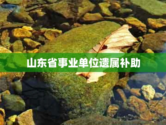 山东省事业单位遗属补助