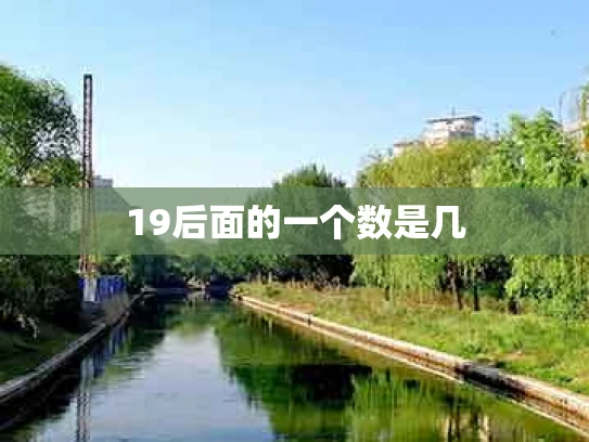19后面的一个数是几