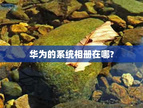 华为的系统相册在哪?