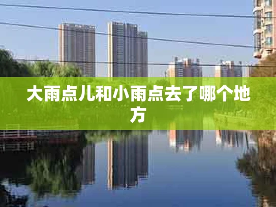 大雨点儿和小雨点去了哪个地方