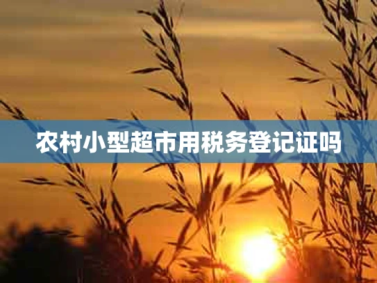 农村小型超市用税务登记证吗