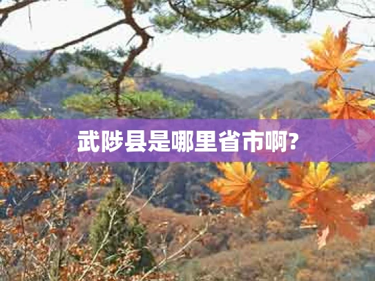武陟县是哪里省市啊?