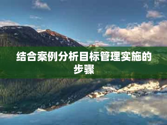 结合案例分析目标管理实施的步骤