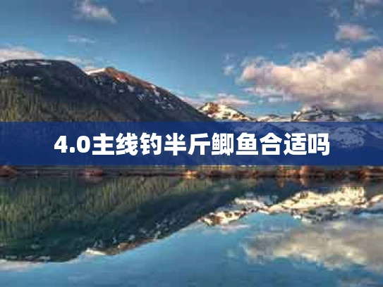 4.0主线钓半斤鲫鱼合适吗